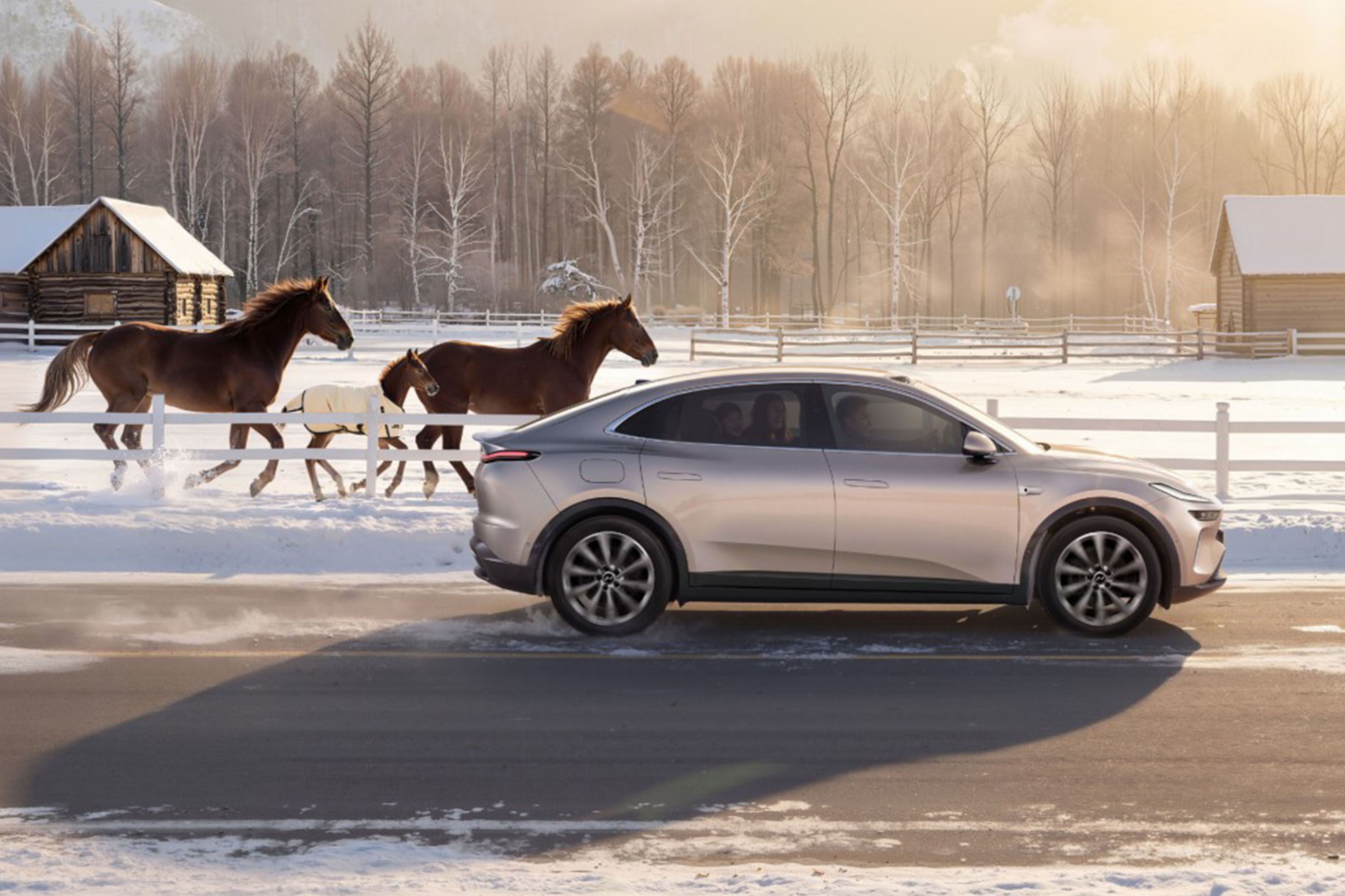 乐道L60马到成功版整车售21.89万