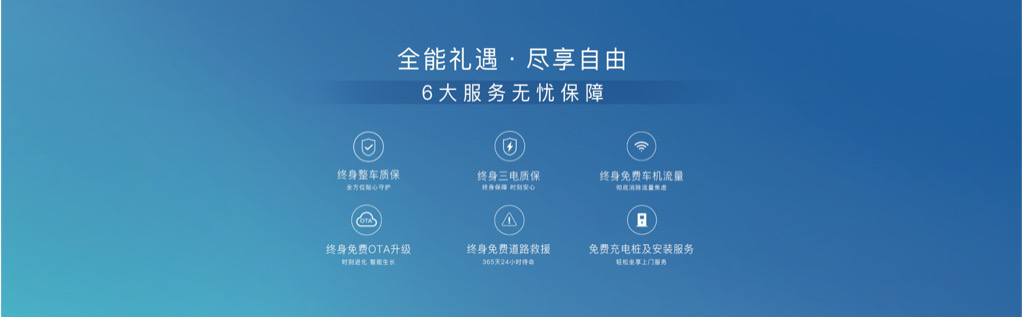 售价31.36万元起/享四大权益六大服务 岚图FREE正式上市