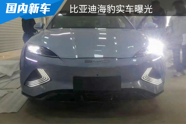 灯光点亮效果首次展示 比亚迪海豹实车曝光 