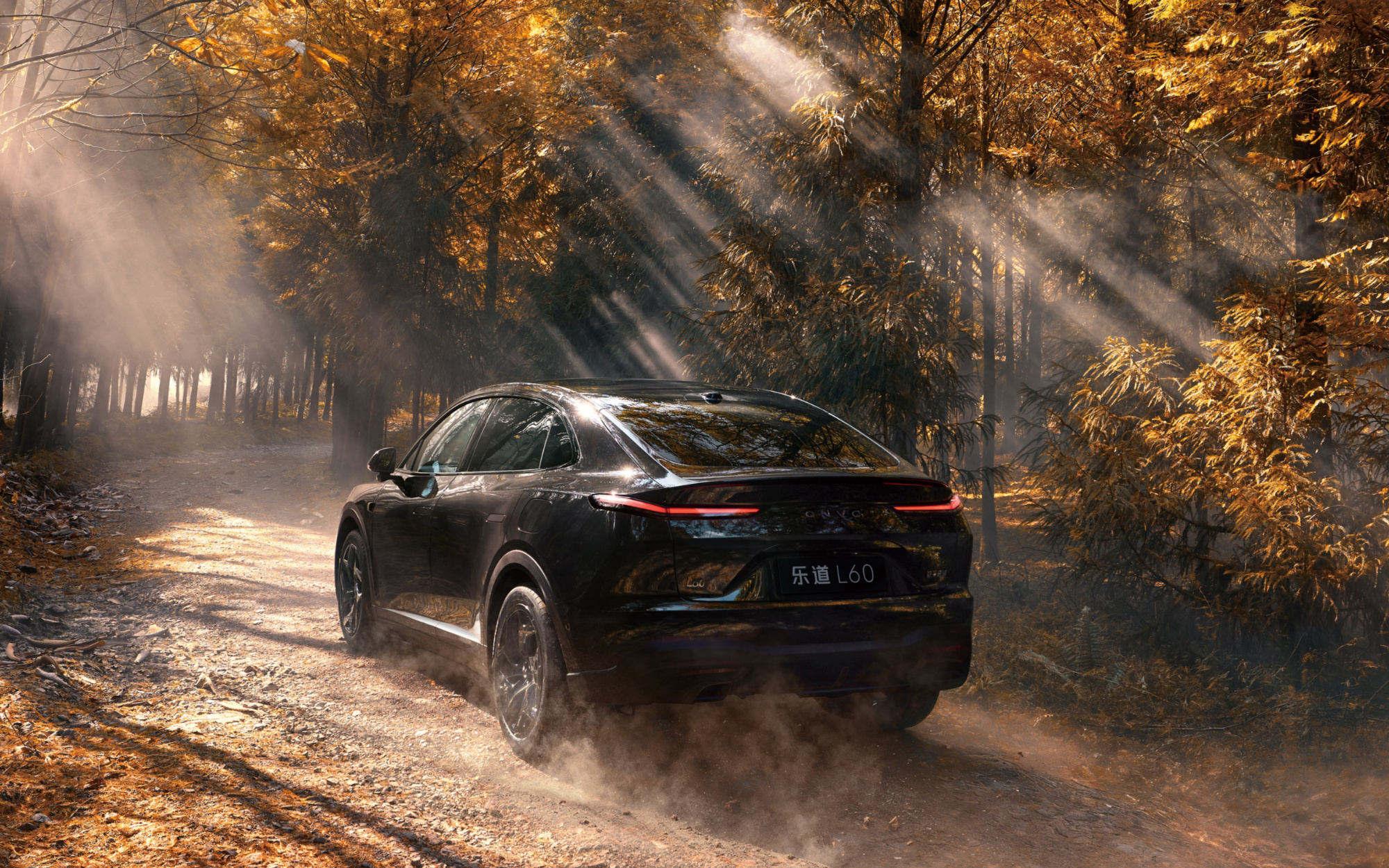 乐道L60黑骑士正式上市 限量发售666台 乐道L60黑骑士正式上市 限量发售666台