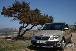 斯柯达-Fabia(进口)-Scout