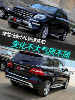 奔驰-奔驰ML级(进口)-350 动感型