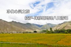 净化心灵之旅 拉萨珠峰8日游记