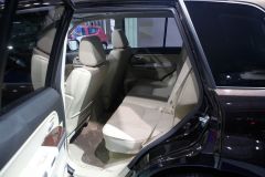 铃木-超级维特拉