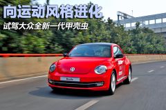 大众-甲壳虫-基本型