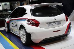 标致-标致208 R5拉力赛车