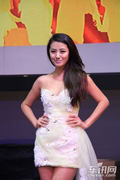 奇瑞汽车2号车模