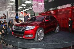 长安标致雪铁龙-DS-WR