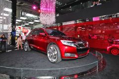 长安标致雪铁龙-DS-WR