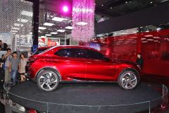 长安标致雪铁龙-DS-WR