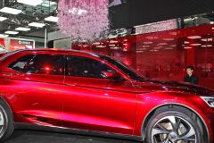 长安标致雪铁龙-DS-WR