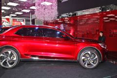 长安标致雪铁龙-DS-WR