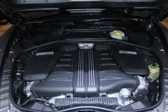 宾利-宾利GTC SPEED