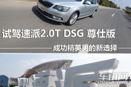 上海大众斯柯达-速派-2.0TSI DSG尊仕版