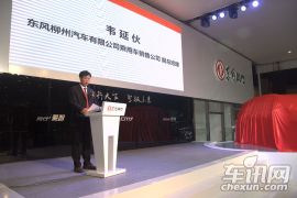 大河车展景逸XV上市现场