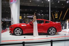 赛麟汽车-赛麟野马