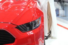 赛麟汽车-赛麟野马