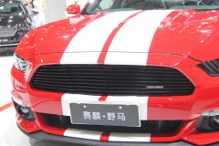 赛麟汽车-赛麟野马