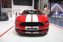 赛麟汽车-赛麟野马