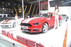 赛麟汽车-赛麟野马