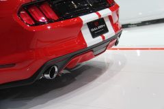 赛麟汽车-赛麟野马