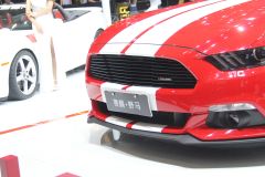 赛麟汽车-赛麟野马