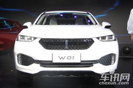 魏派汽车-W01