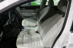 东风风行汽车-景逸S50EV