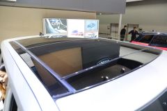 路虎(进口)-揽胜