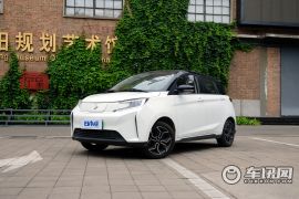 新特汽车-DEV 1-创睿版 