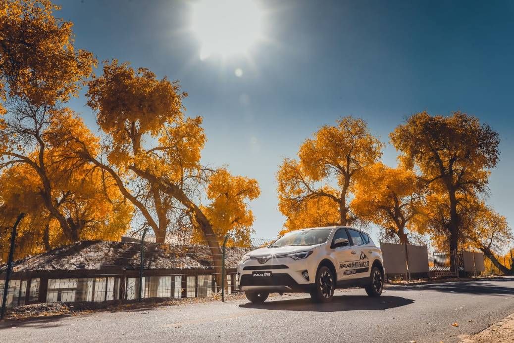 惊艳动感,RAV4荣放体验