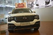 广汽乘用车-传祺GS8-390T 两驱豪华智联版（七座）