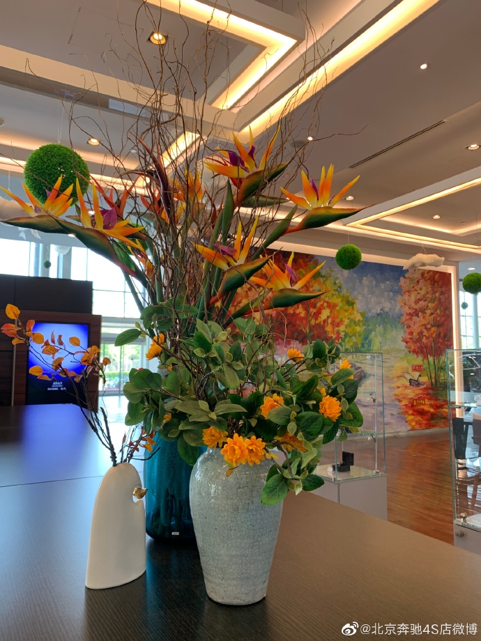 奔驰S450顶尖科技与迈巴赫极致专属体验