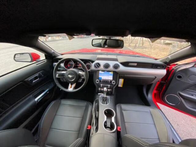 19款加拿大版福特野马P版赛道红/黑出售