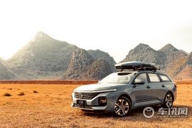 新宝骏-新宝骏Valli-基本型