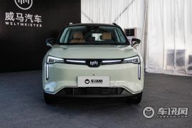 威马汽车-威马W6-520km PRO全能版   ￥18.98