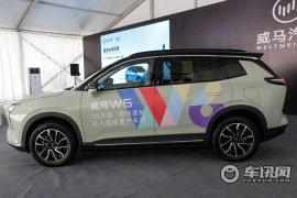 威马汽车-威马W6-520km PRO全能版   ￥18.98