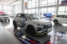 长城汽车-哈弗赤兔-1.5T 白银兔