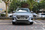 一汽奥迪-奥迪e-tron-50 quattro 尊享型