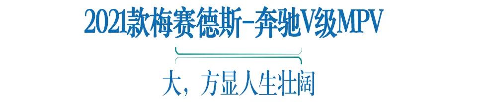 远程发动机启动2022款奔驰V260L 威霆  