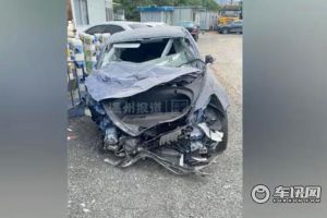 赔偿特斯拉5万元，道歉不少于90日，特斯拉告车主侵犯名誉权胜诉