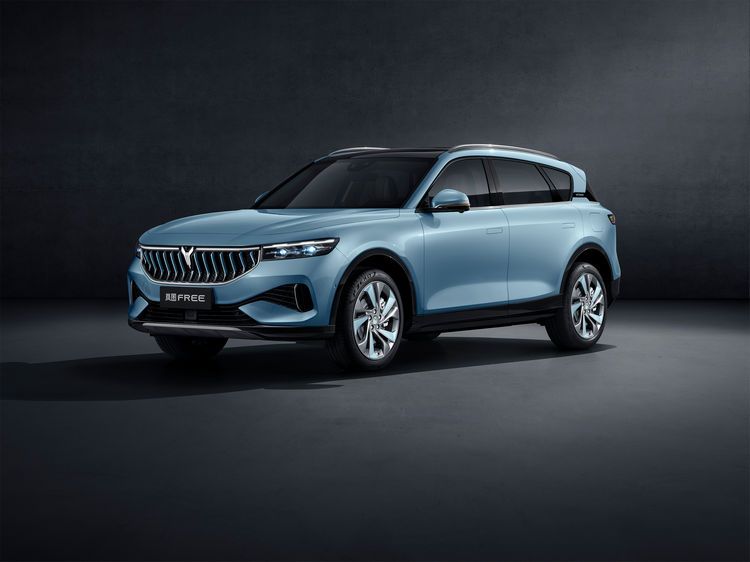 发布全场景充电矩阵和首次OTA计划，岚图用户之夜成功举办