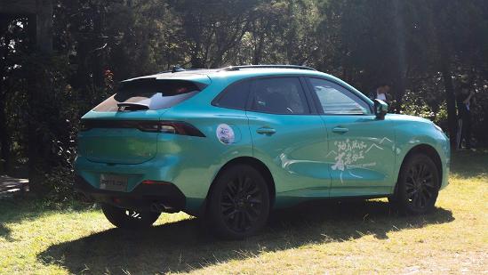 加油站之敌？我在大理把风行 T5 EVO开出3.6L