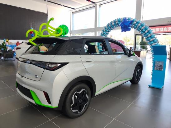 比RAV4、CR-V轴距还长的小型车 比亚迪海豚实拍