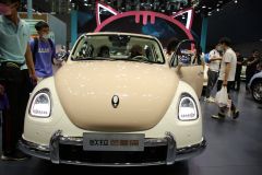 长城汽车-芭蕾猫