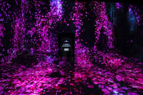 Я����������teamLab�޽������ݣ������������������ɶ� 