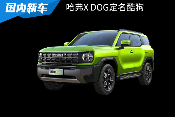 X DOG定名“酷狗”！哈弗狗品类第二款产品官图来袭，明年上市
