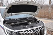 广汽乘用车-传祺M8-大师系列 390T 至尊福祉版