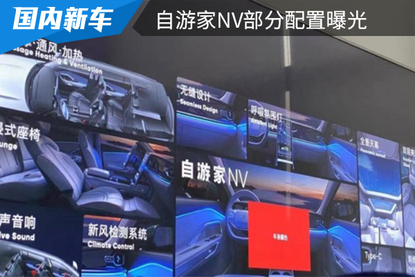 曝自游家NV部分配置 新车将在3月31日开启预订