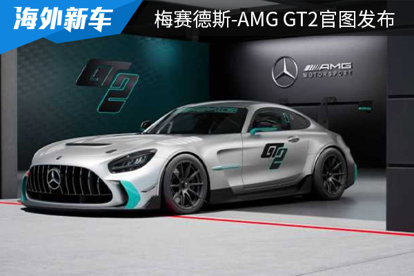 搭载4.0T V8发动机 梅赛德斯-AMG GT2官图发布